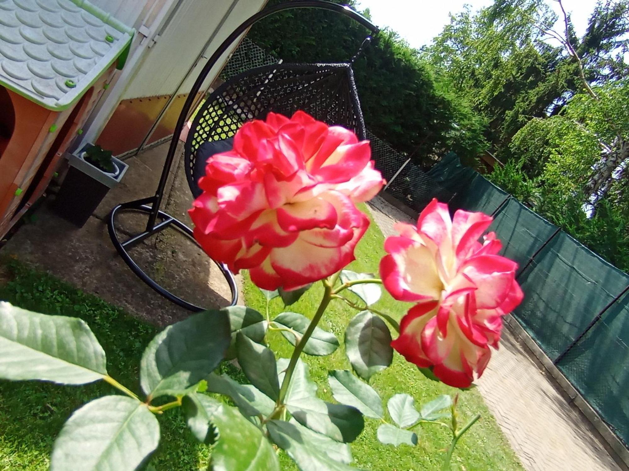 Marika Apartman Hajdúszoboszló Buitenkant foto